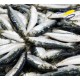 sardines à l'huile d'olive bio millésime 2022, le meilleur de la Compagnie Bretonne